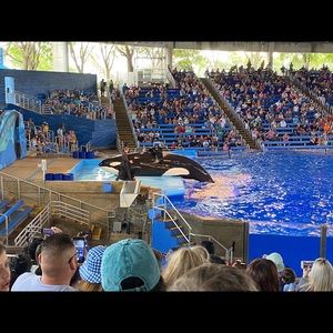 Meet your Posher, Maegan